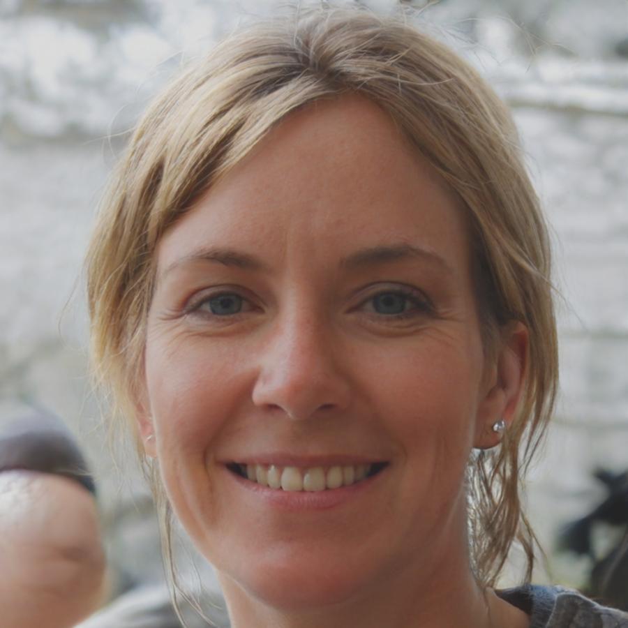 Directora de investigación de nothevalquira